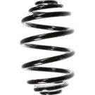 Spidan | Fahrwerksfeder | 56725
