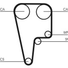 CT1125 Zahnriemen CT1125 Zahnriemen