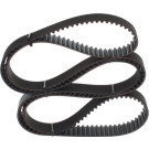 1 987 949 651 Zahnriemen 1 987 949 651 Zahnriemen