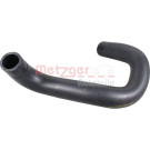 2421900 Kühlerschlauch