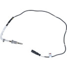 NRF | Sensor, Abgastemperatur | 707044