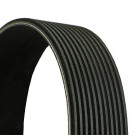 ContiTech | Keilrippenriemen | 11PK2871