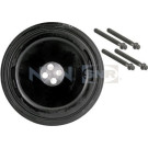 DPF350.04K1 Riemenscheibe, Kurbelwelle