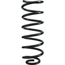 Spidan | Fahrwerksfeder | 49316