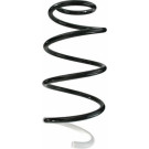 Spidan | Fahrwerksfeder | 87251