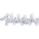 Maxgear | Glühlampe, Kennzeichenleuchte | 78-0042SET