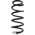 Spidan | Fahrwerksfeder | 87115