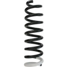 Spidan | Fahrwerksfeder | 87410