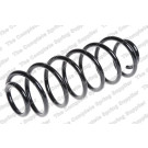 4255459 Fahrwerksfeder