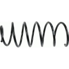 998 360 Fahrwerksfeder