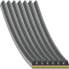FEBI BILSTEIN 176365 Keilrippenriemen