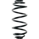 Spidan | Fahrwerksfeder | 85038