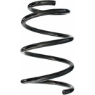 Spidan | Fahrwerksfeder | 87339