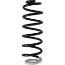 Spidan | Fahrwerksfeder | 87371