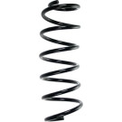 Spidan | Fahrwerksfeder | 56798