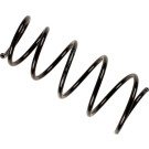 36-200481 Fahrwerksfeder BILSTEIN - B3 Serienersatz (Federn)