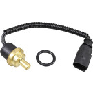Metzger | Sensor, Zylinderkopftemperatur | 0905505