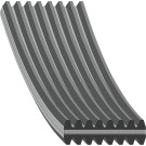 FEBI BILSTEIN 177989 Keilrippenriemen FEBI BILSTEIN 177989 Keilrippenriemen