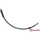 Brembo | Bremsschlauch | T 85 122