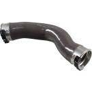 2401095 Ladeluftschlauch