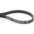 ContiTech | Keilrippenriemen | 4PK916 ELAST