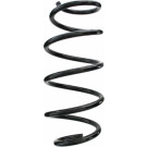 Spidan | Fahrwerksfeder | 87772