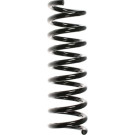 Spidan | Fahrwerksfeder | 49732
