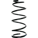 Spidan | Fahrwerksfeder | 55893
