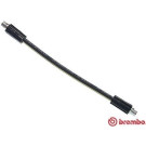 Brembo | Bremsschlauch | T 85 064