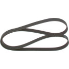 1 987 948 442 Keilrippenriemen