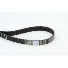 ContiTech | Zahnriemen | CT788