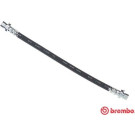Brembo | Bremsschlauch | T 28 012