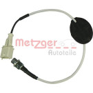 Metzger | Sensor, Zylinderkopftemperatur | 0905384