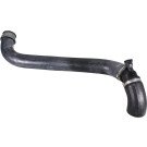 2422218 Kühlerschlauch