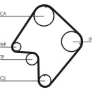 CT832 Zahnriemen CT832 Zahnriemen