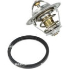 NRF | Thermostat, Kühlmittel | 725124