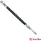 Brembo | Bremsschlauch | T 24 144