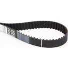 CT906 Zahnriemen CT906 Zahnriemen