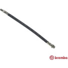 Brembo | Bremsschlauch | T 59 079
