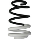 Spidan | Fahrwerksfeder | 88009