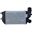 30066A Ladeluftkühler