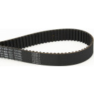 CT920 Zahnriemen CT920 Zahnriemen