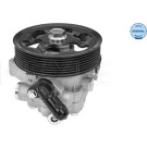 Meyle | Hydraulikpumpe, Lenkung | 31-14 631 0001
