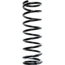 Spidan | Fahrwerksfeder | 55700