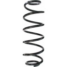 Spidan | Fahrwerksfeder | 87609