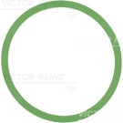 Victor Reinz | Dichtung, Ansaugkrümmer | 71-37599-00