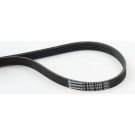 ContiTech | Keilrippenriemen | 5PK1145