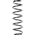 Spidan | Fahrwerksfeder | 55044