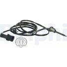 Delphi Sensor, Abgastemperatur TS30063