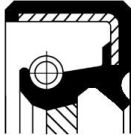 Corteco Wellendichtring, Differential 19033884B